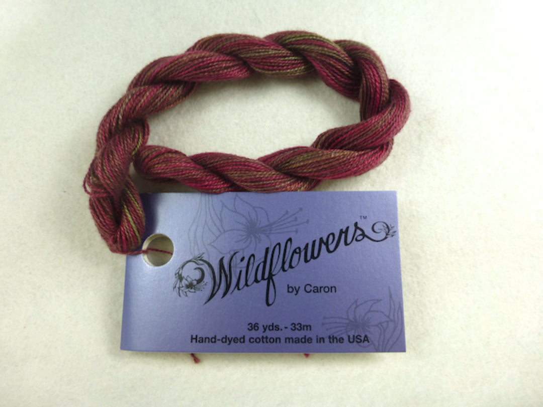 Wildflowers 058 Mocha Rose