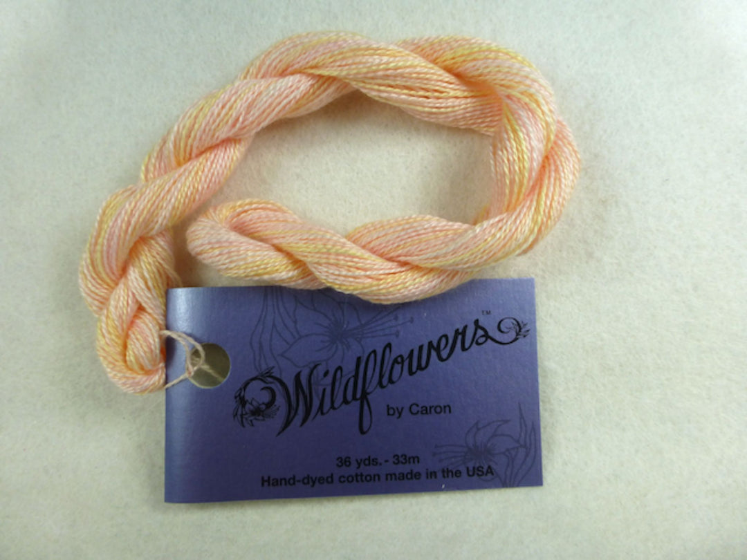 Wildflowers 187 Frangipani