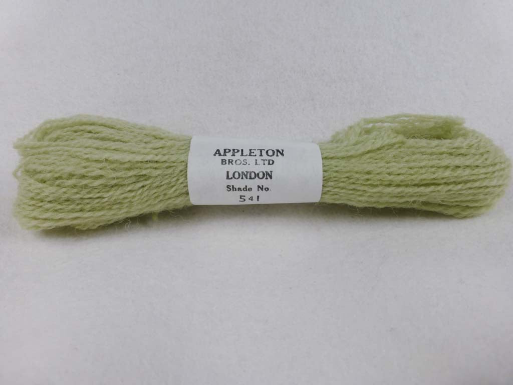 Appleton Wool 541 NC by Appleton From Beehive Needle Arts