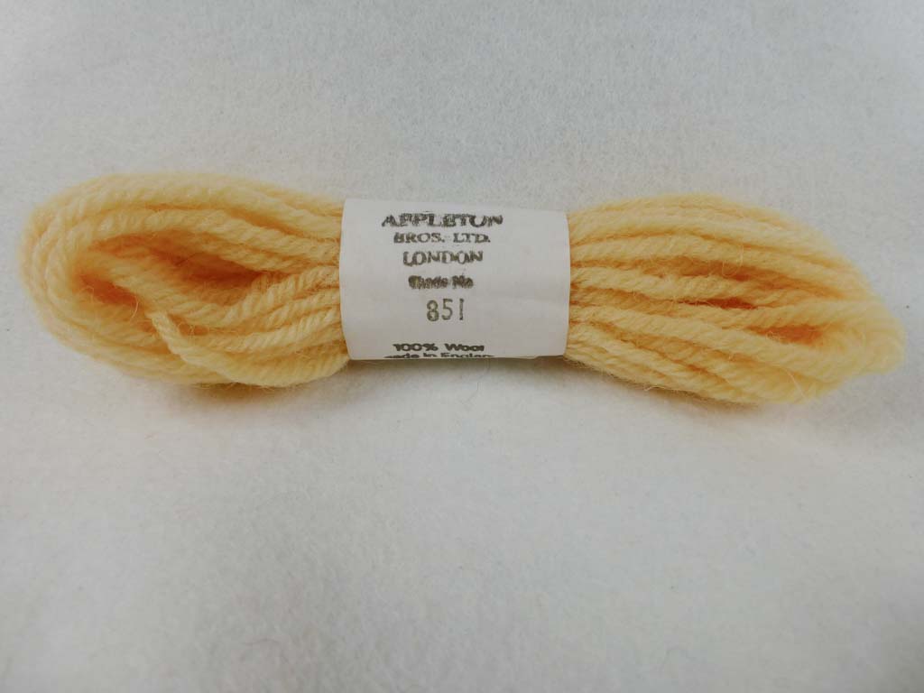 Appleton Wool T851 NC by Appleton  From Beehive Needle Arts