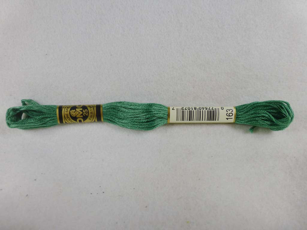 DMC Floss 163 Medium Celadon Green by DMC From Beehive Needle Arts