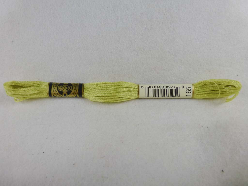DMC Floss 165 Very Light Moss Green by DMC From Beehive Needle Arts