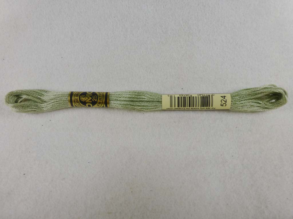 DMC Floss 524 Very Light Fern Green by DMC From Beehive Needle Arts