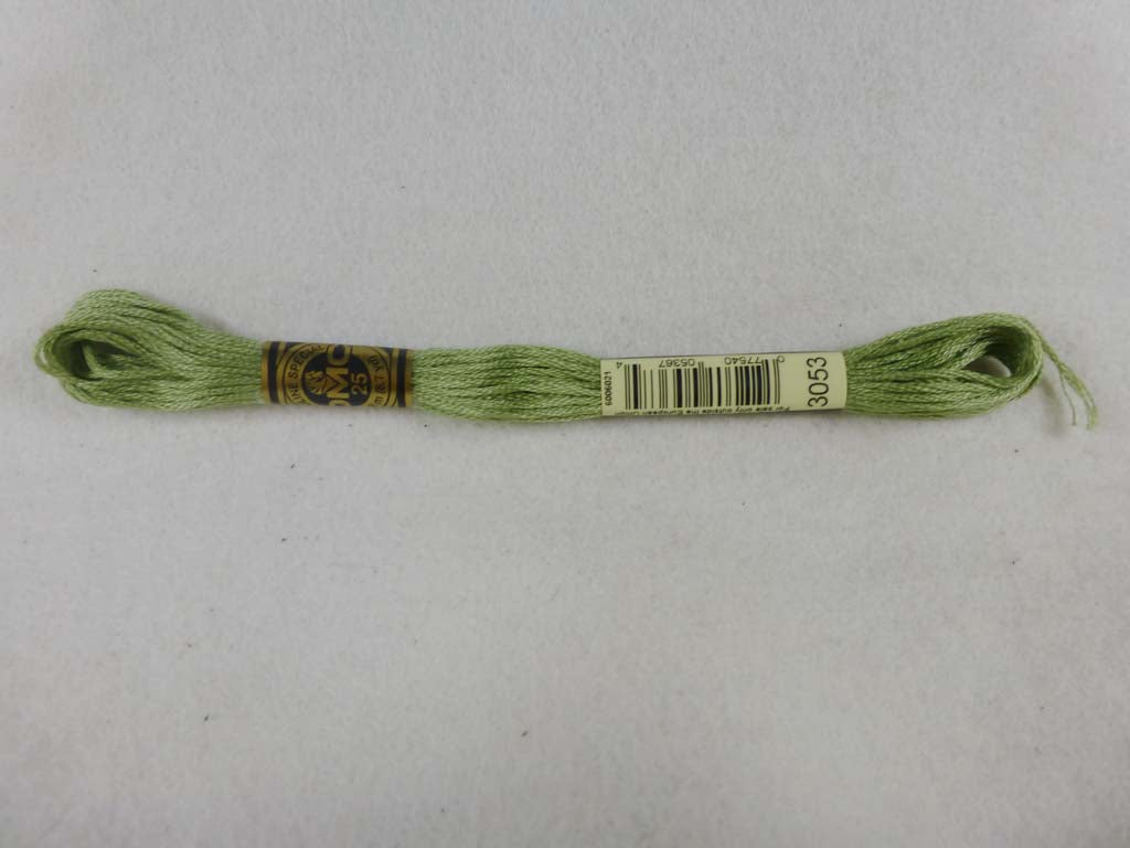 DMC Floss 3053 Green Gray by DMC From Beehive Needle Arts