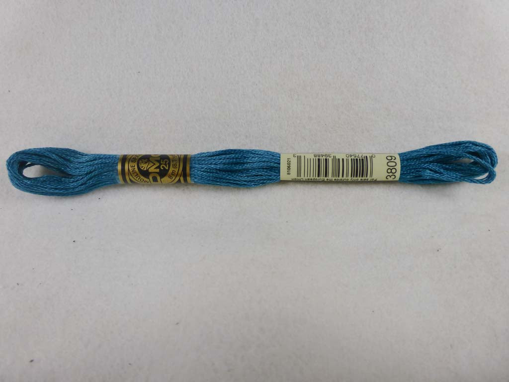 DMC Floss 3809 Very Dark Turquoise by DMC From Beehive Needle Arts