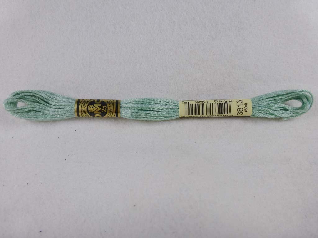 DMC Floss 3813 Light Blue Green by DMC From Beehive Needle Arts