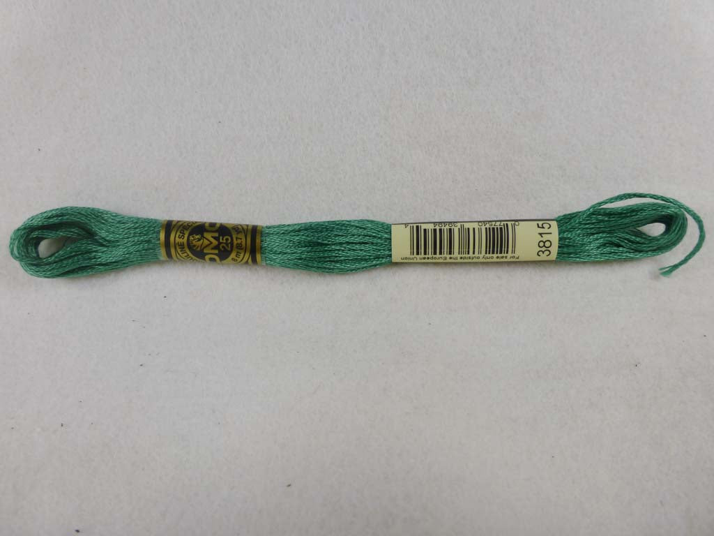 DMC Floss 3815 Dark Celadon Green by DMC From Beehive Needle Arts