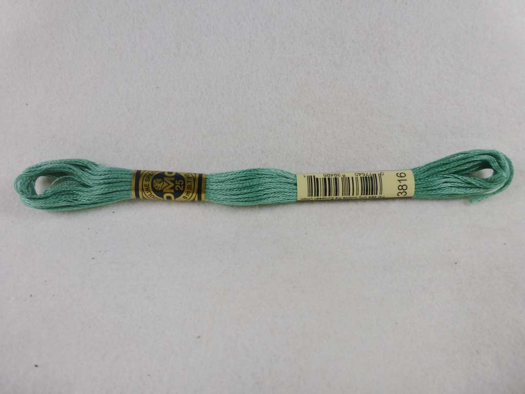 DMC Floss 3816 Celadon Green by DMC From Beehive Needle Arts