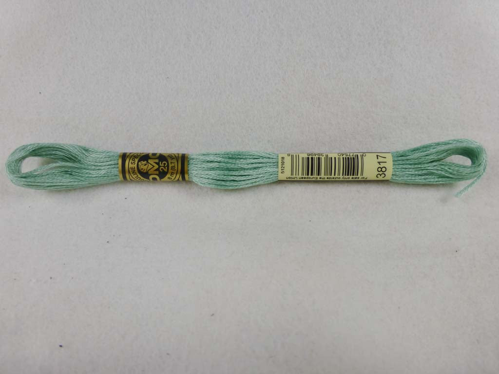 DMC Floss 3817 Light Celadon Green by DMC From Beehive Needle Arts