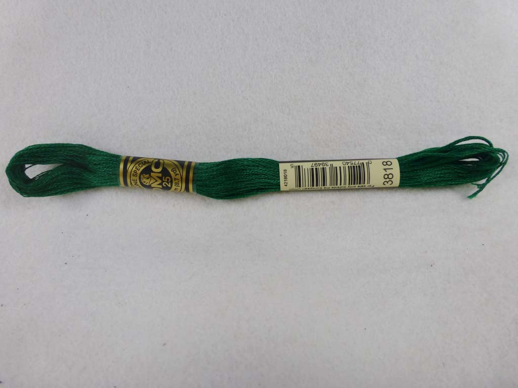 DMC Floss 3818 Ultra Very Dark Emerald Green by DMC From Beehive Needle Arts