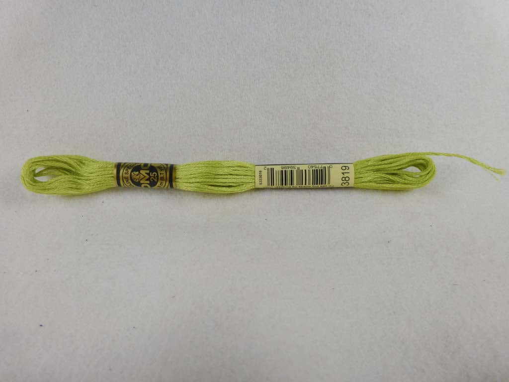DMC Floss 3819 Light Moss Green by DMC From Beehive Needle Arts