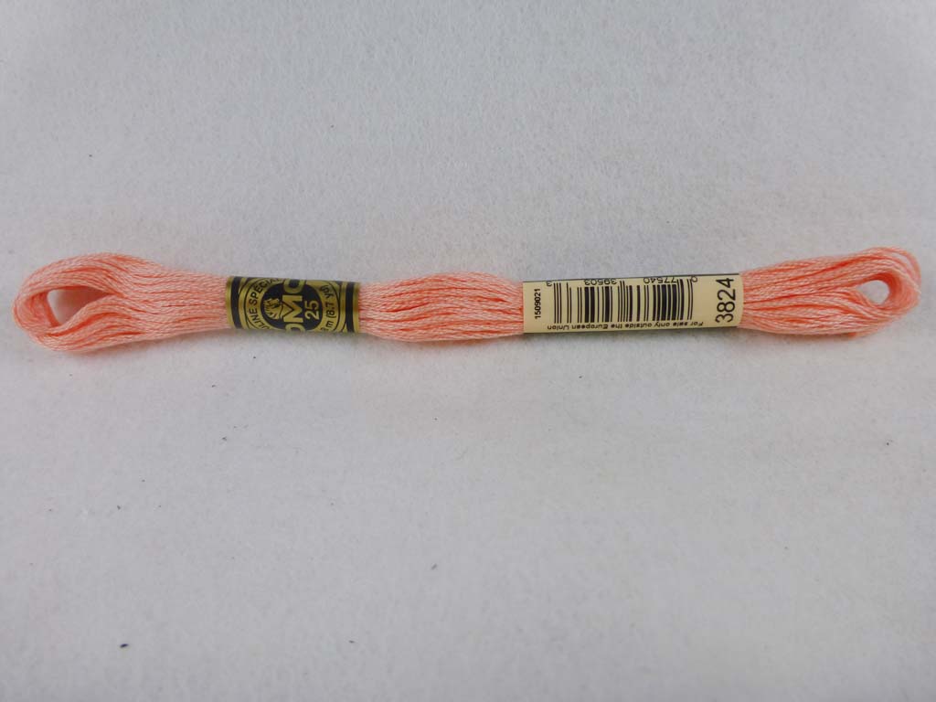 DMC Floss 3824 Light Apricot by DMC From Beehive Needle Arts
