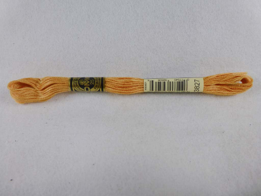 DMC Floss 3827 Pale Golden Brown by DMC From Beehive Needle Arts
