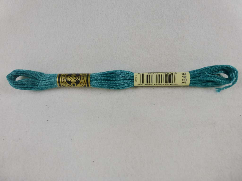 DMC Floss 3848 Medium Teal Green by DMC From Beehive Needle Arts