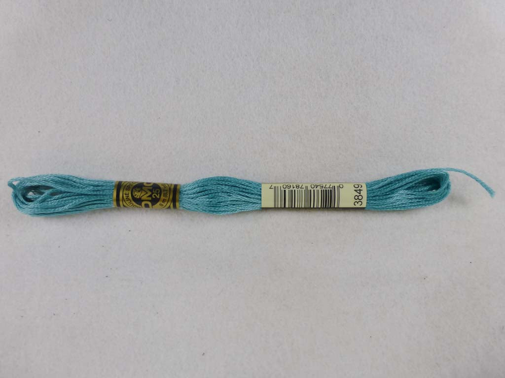 DMC Floss 3849 Light Teal Green by DMC From Beehive Needle Arts
