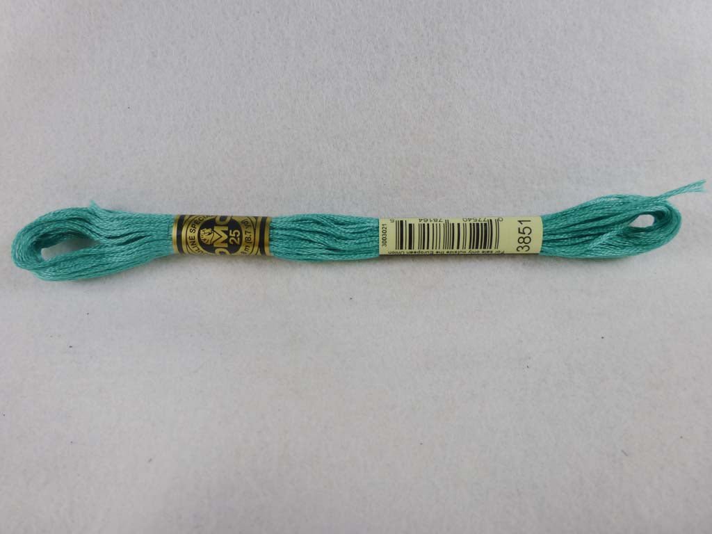 DMC Floss 3851 Light Bright Green by DMC From Beehive Needle Arts