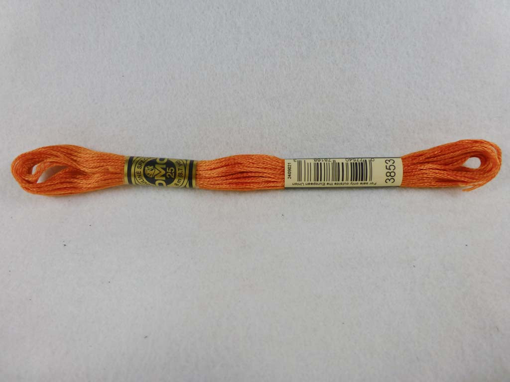 DMC Floss 3853 Dark Autumn Gold by DMC From Beehive Needle Arts