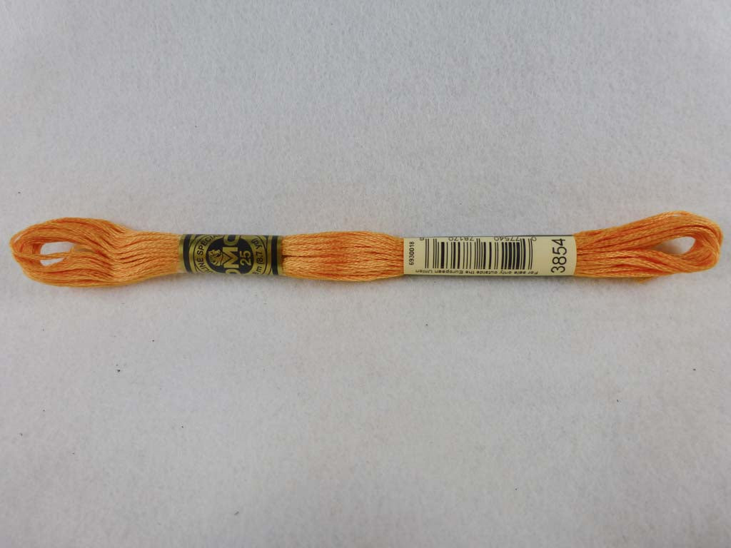 DMC Floss 3854 Medium Autumn Gold by DMC From Beehive Needle Arts