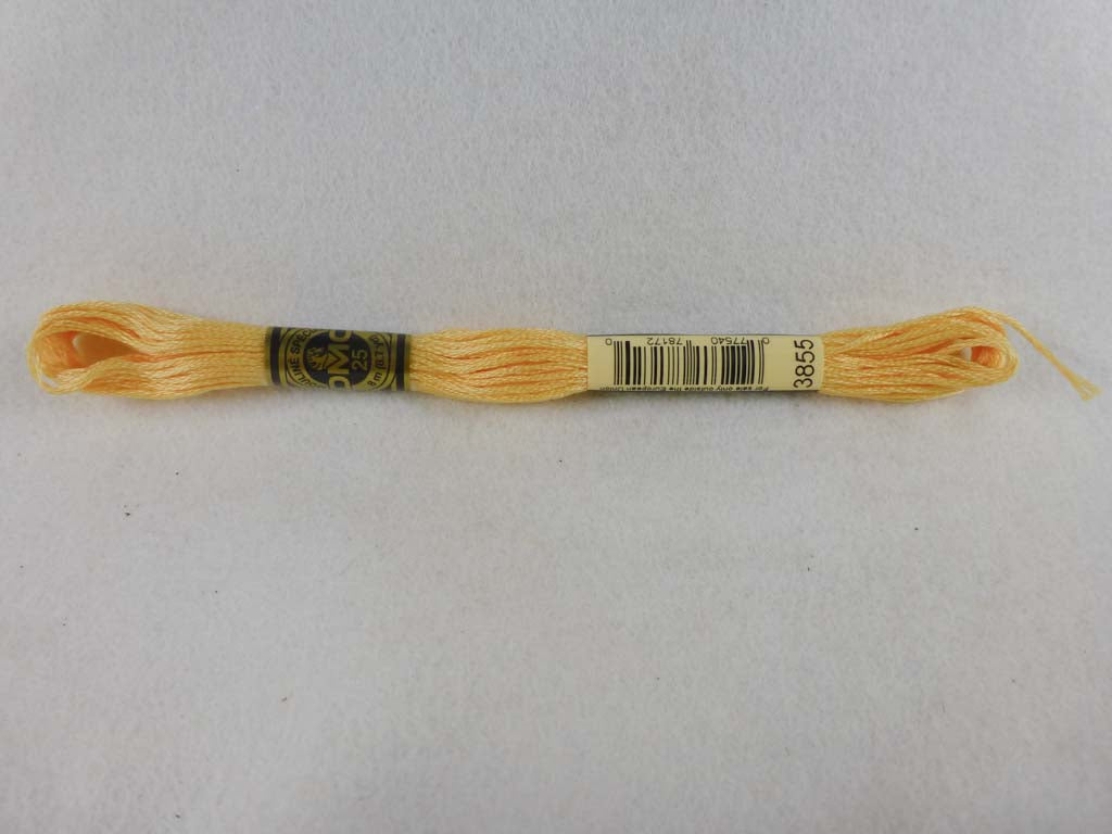 DMC Floss 3855 Light Autumn Gold by DMC From Beehive Needle Arts