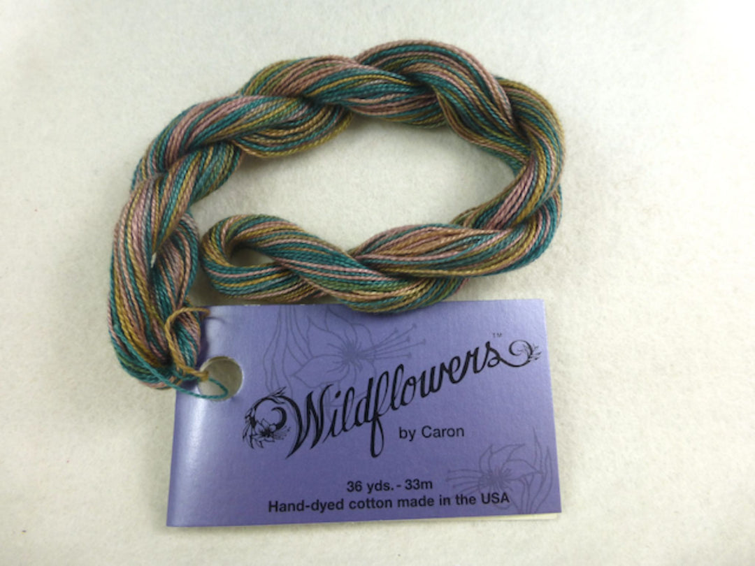 Wildflowers 033 Desert Sage