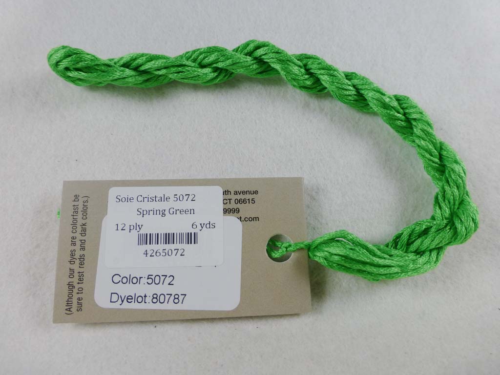 Soie Cristale 5072 Spring Green by Caron Collection From Beehive Needle Arts