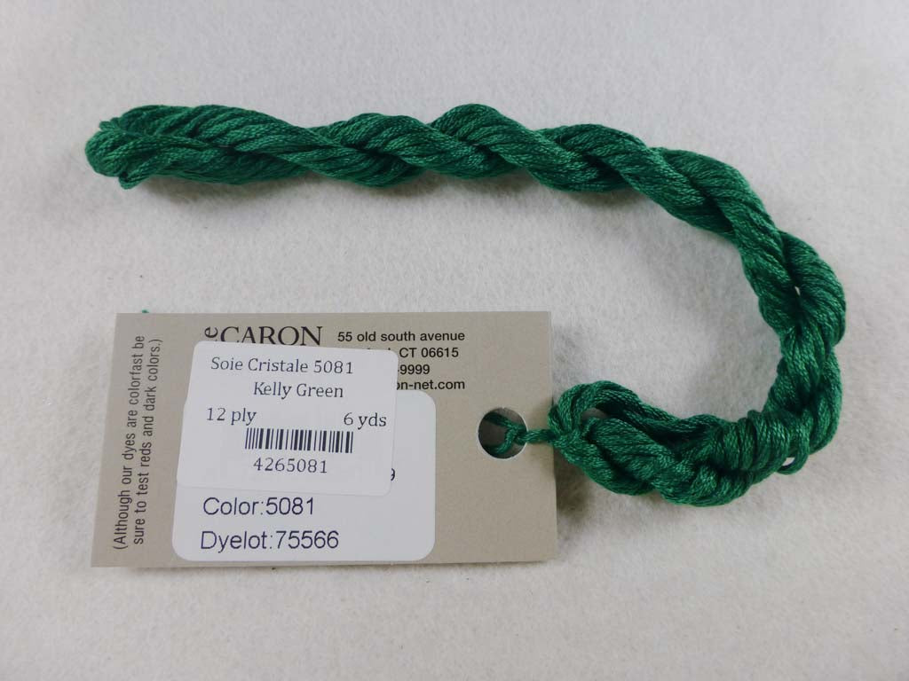 Soie Cristale 5081 Kelly Green by Caron Collection From Beehive Needle Arts