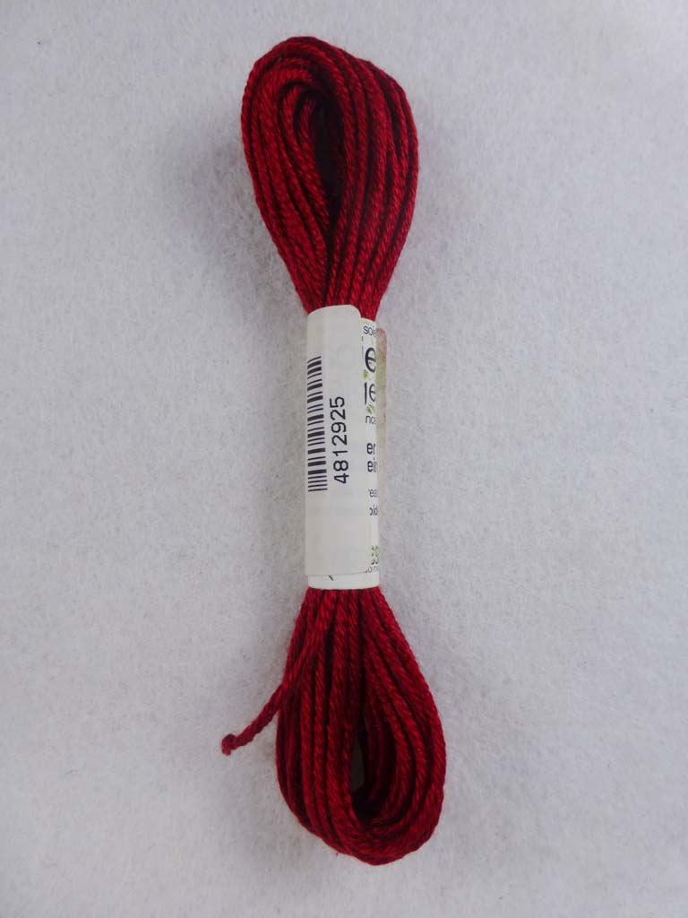 Soie d'Alger 2925  by Au Ver a Soie From Beehive Needle Arts