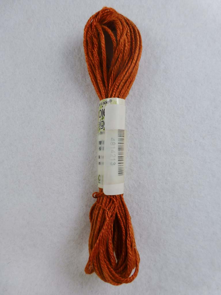 Soie d'Alger 4213  by Au Ver a Soie From Beehive Needle Arts