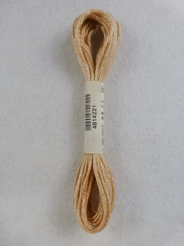 Soie d'Alger 4221  by Au Ver a Soie From Beehive Needle Arts