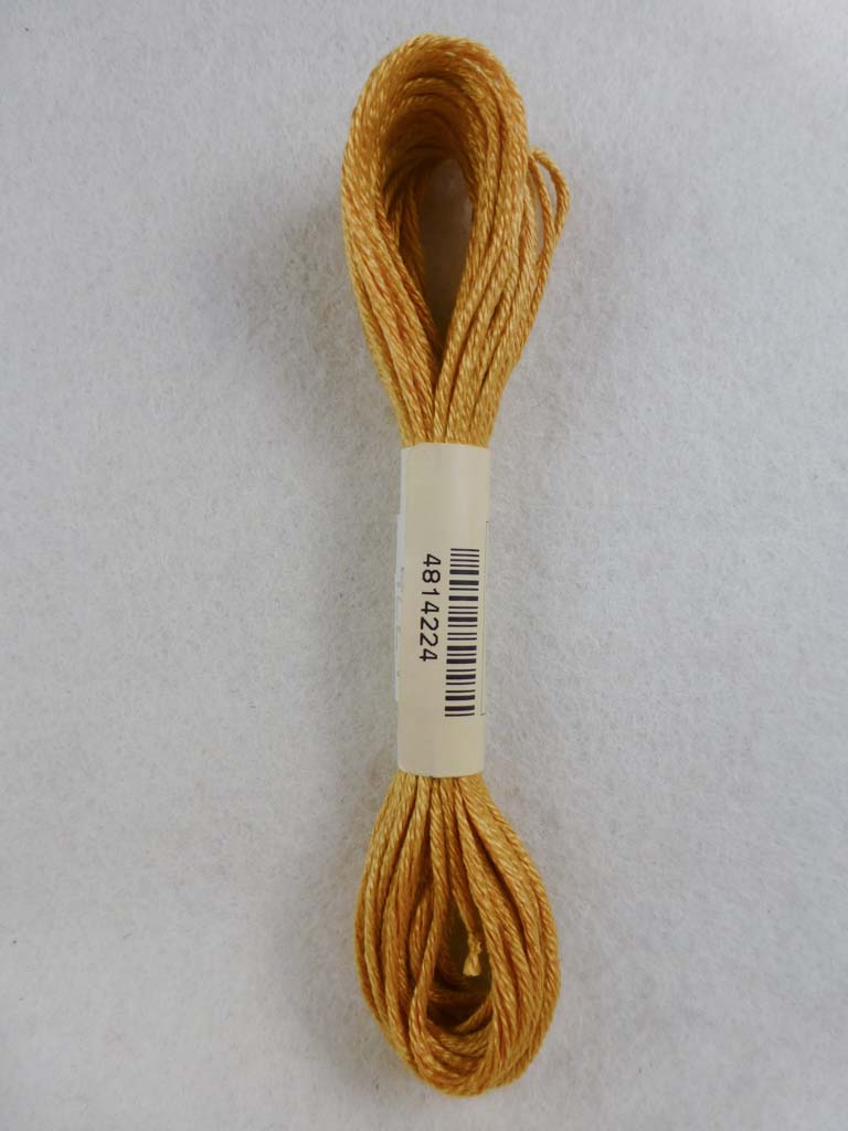Soie d'Alger 4224  by Au Ver a Soie From Beehive Needle Arts