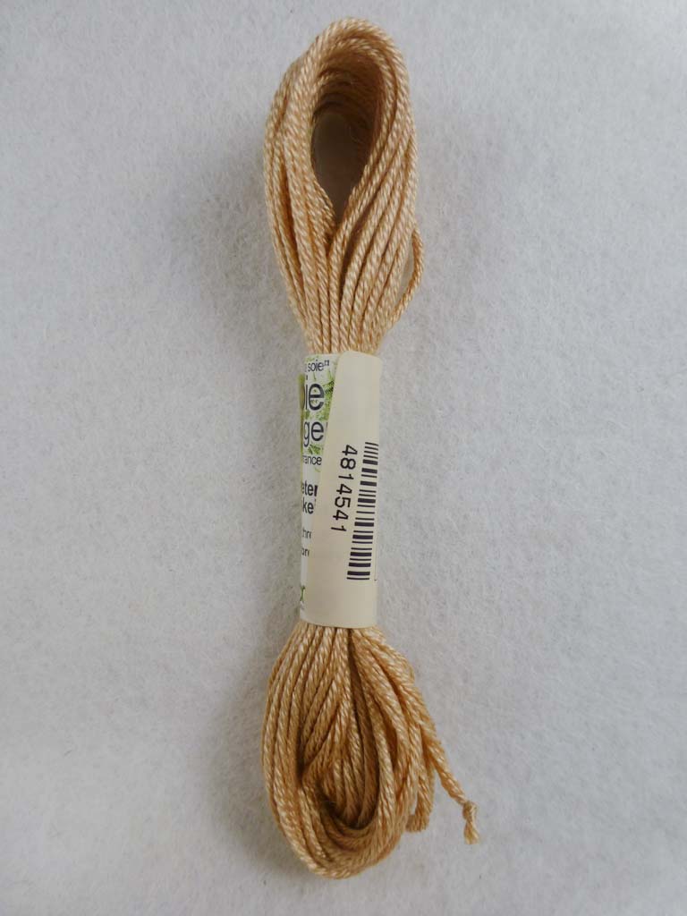Soie d'Alger 4541  by Au Ver a Soie From Beehive Needle Arts