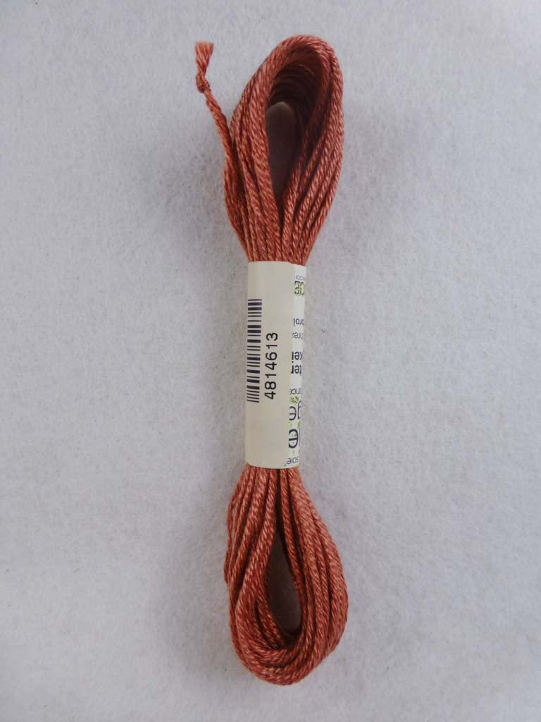 Soie d'Alger 4613  by Au Ver a Soie From Beehive Needle Arts