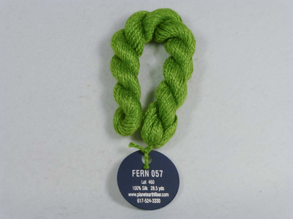 Planet Earth 057 Fern by Planet Earth From Beehive Needle Arts