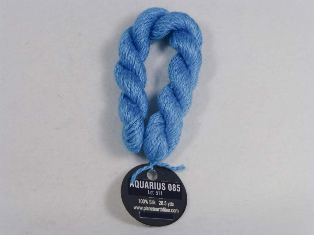 Planet Earth 085 Aquarius by Planet Earth From Beehive Needle Arts