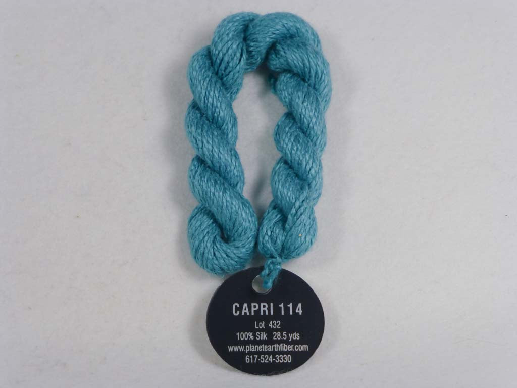 Planet Earth 114 Capri by Planet Earth From Beehive Needle Arts