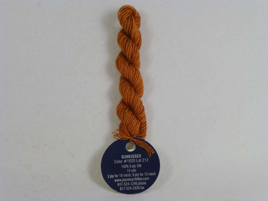 Planet Earth 6-ply 1020 Sunkissed by Planet Earth From Beehive Needle Arts