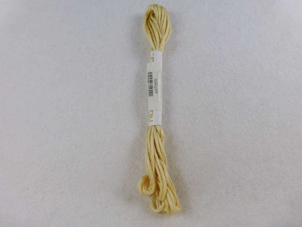 Needlepoint Inc 851 Hodgepodge by Needlepoint Inc From Beehive Needle Arts