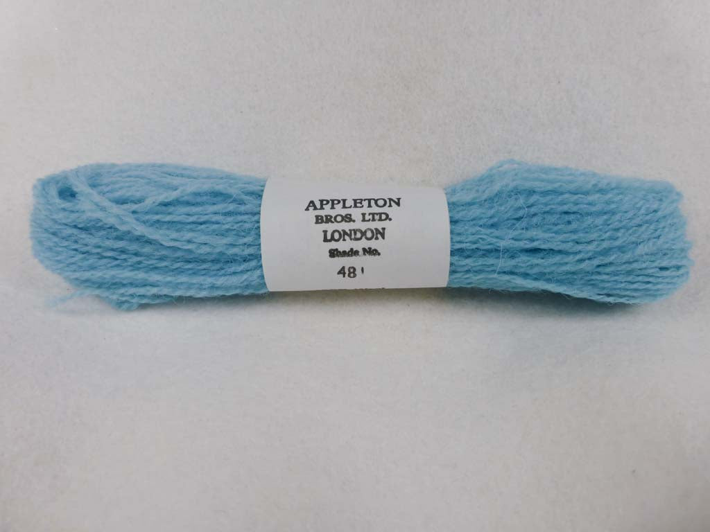 Appleton Wool 481 NC by Appleton  From Beehive Needle Arts