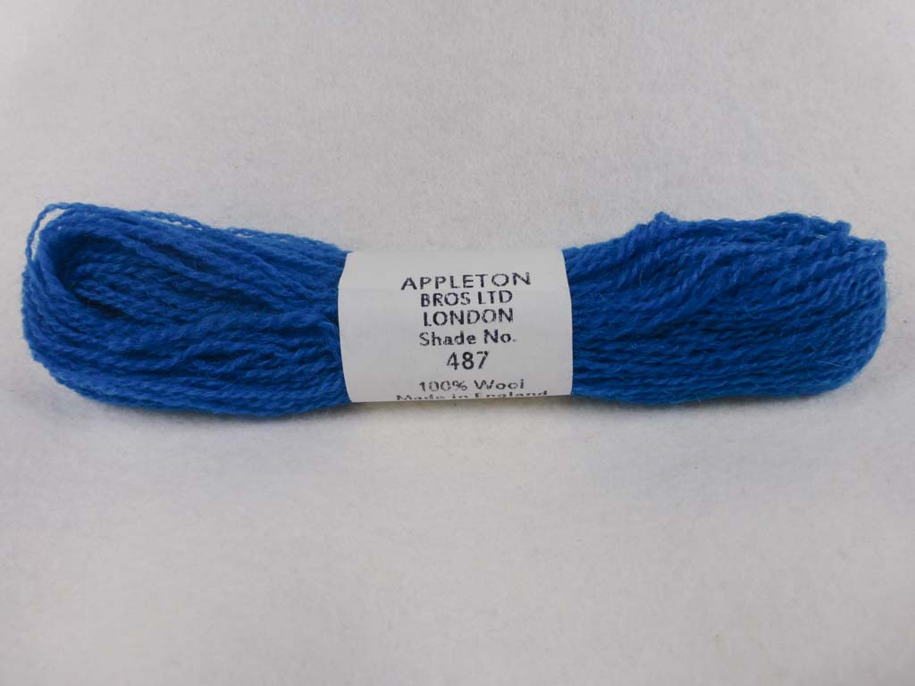 Appleton Wool 487 NC by Appleton  From Beehive Needle Arts