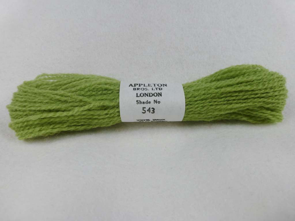Appleton Wool 543 NC by Appleton  From Beehive Needle Arts