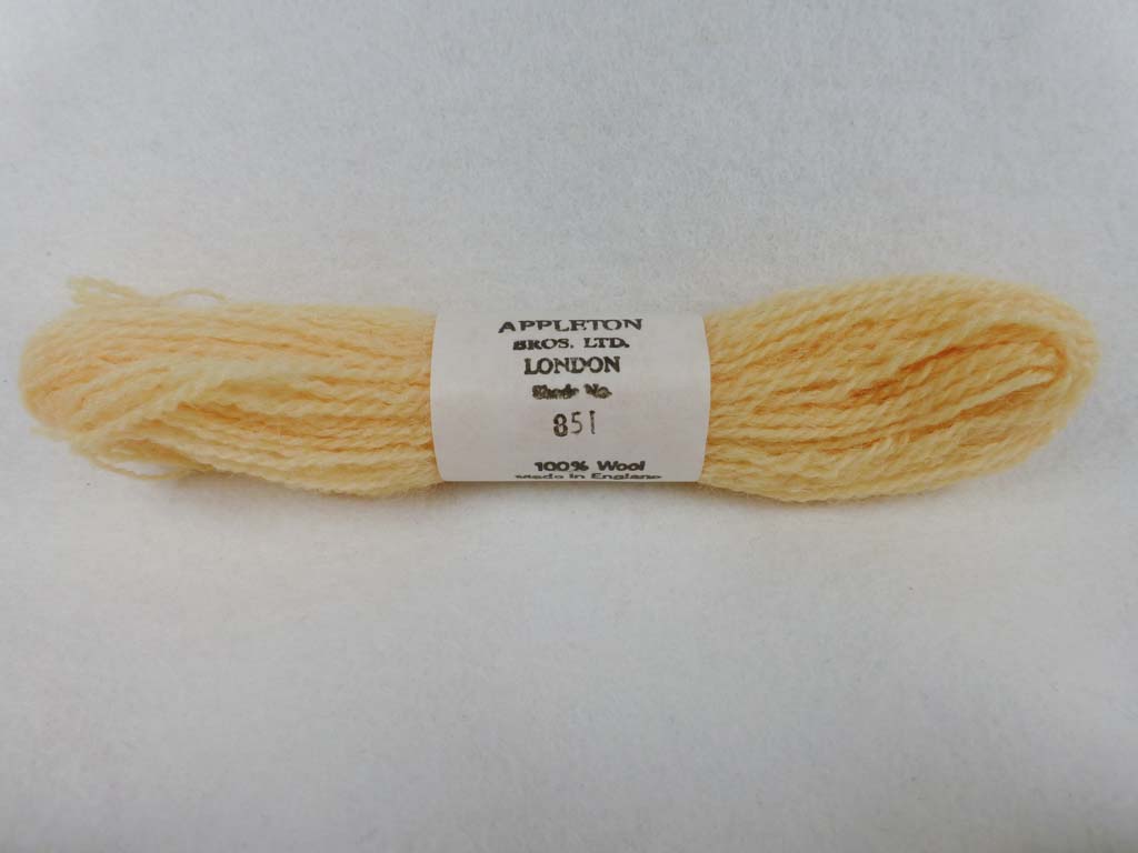 Appleton Wool 851 NC by Appleton  From Beehive Needle Arts