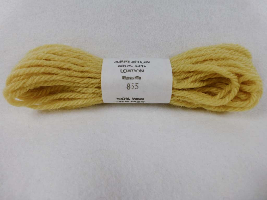 Appleton Wool T855 NC by Appleton  From Beehive Needle Arts