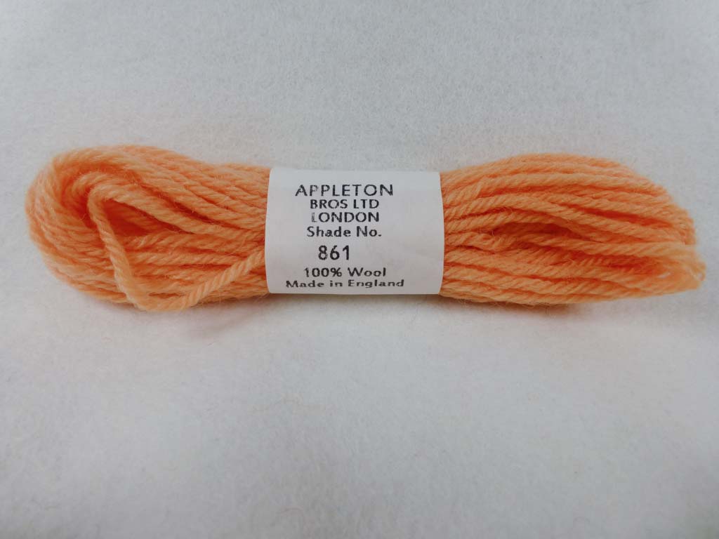 Appleton Wool T861 NC by Appleton  From Beehive Needle Arts