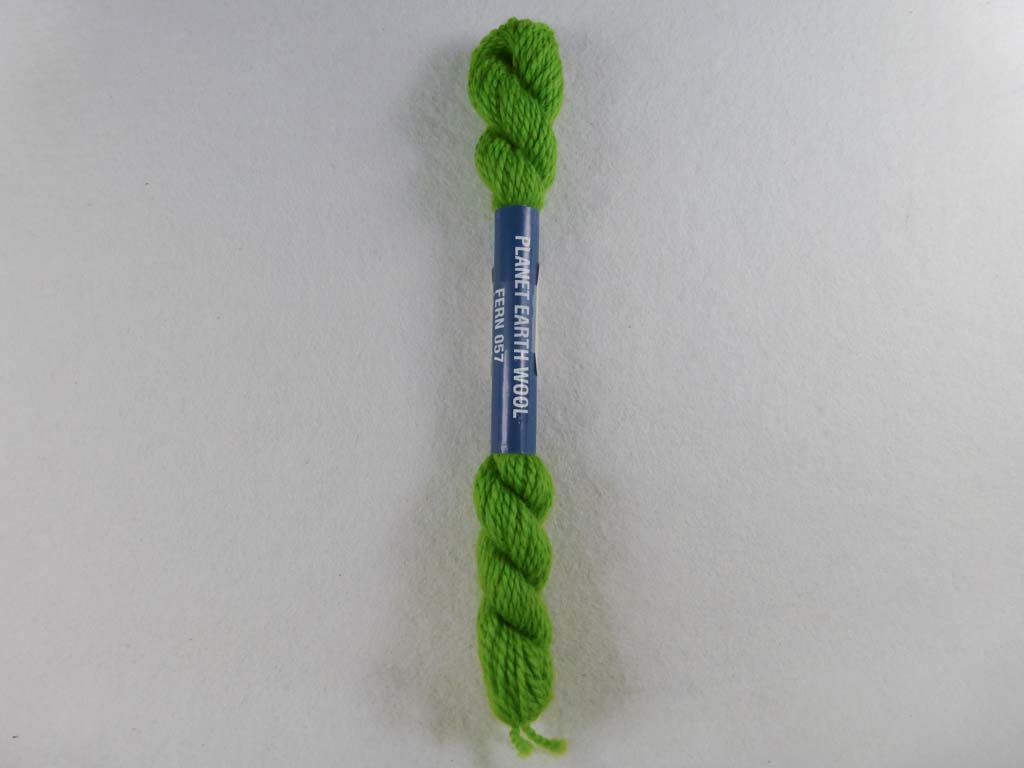 PE Wool 057 Fern by Planet Earth  From Beehive Needle Arts