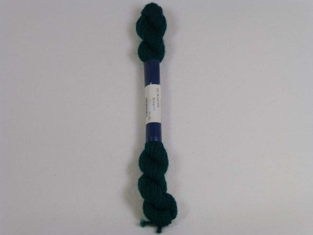 PE Wool 064 Evergreen by Planet Earth  From Beehive Needle Arts