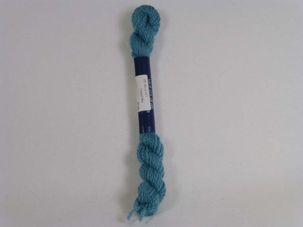 PE Wool 077 Caneel Bay by Planet Earth  From Beehive Needle Arts