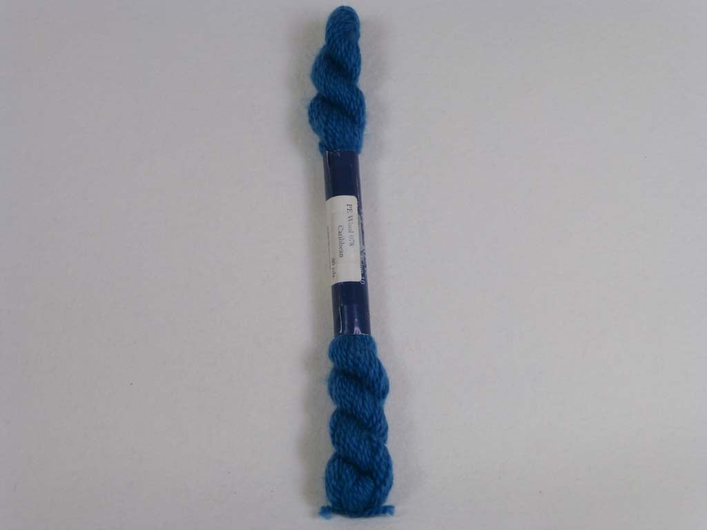 PE Wool 078 Caribbean by Planet Earth  From Beehive Needle Arts