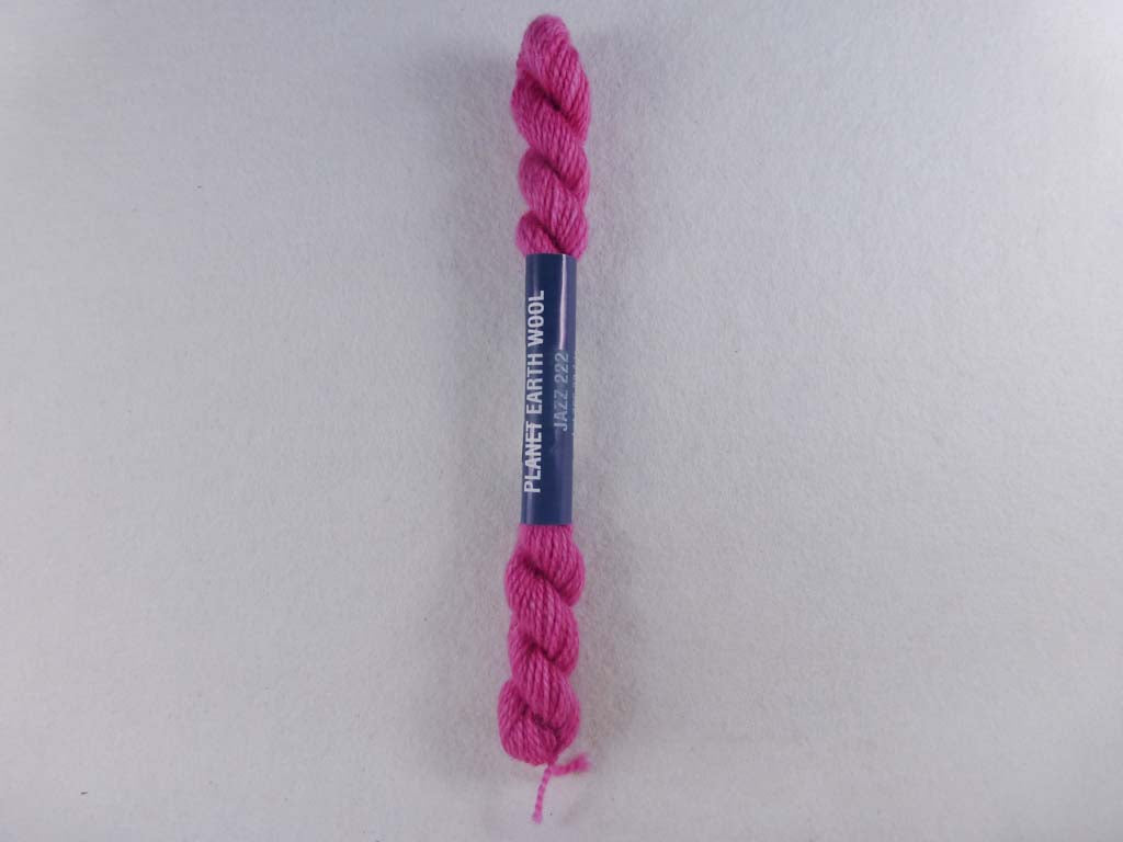 PE Wool 222 Jazz by Planet Earth  From Beehive Needle Arts