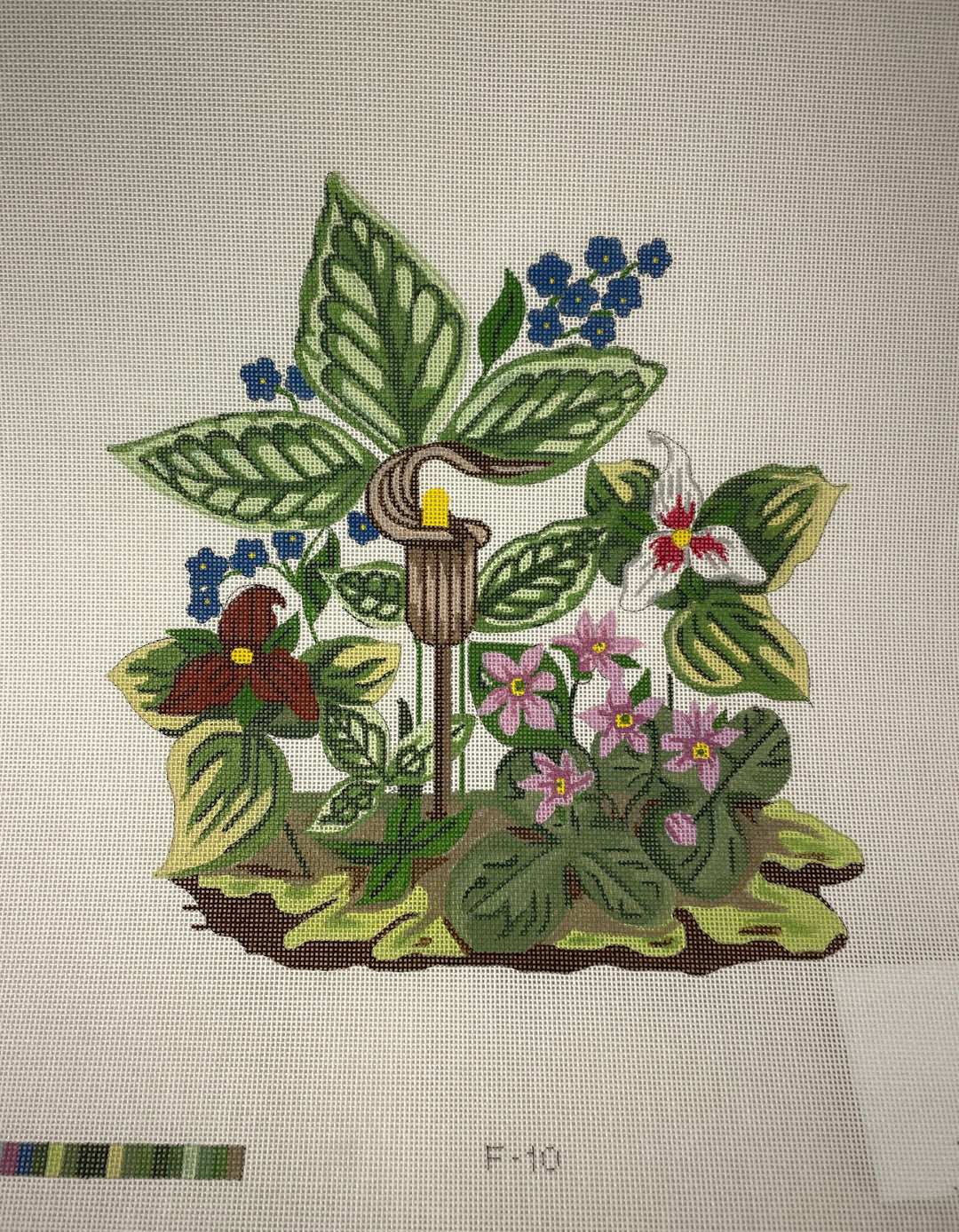 * Designs by Suzanne F10 Marsh Melody Canvas